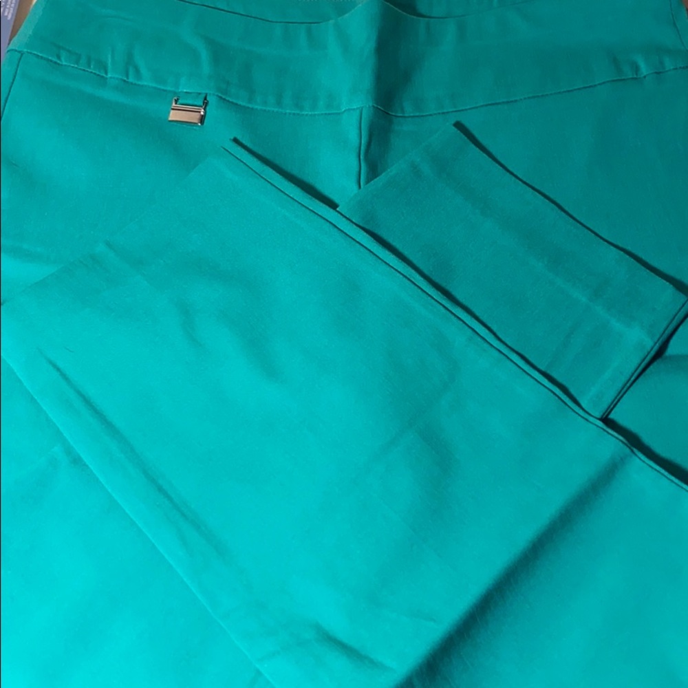 Alfani women’s pants